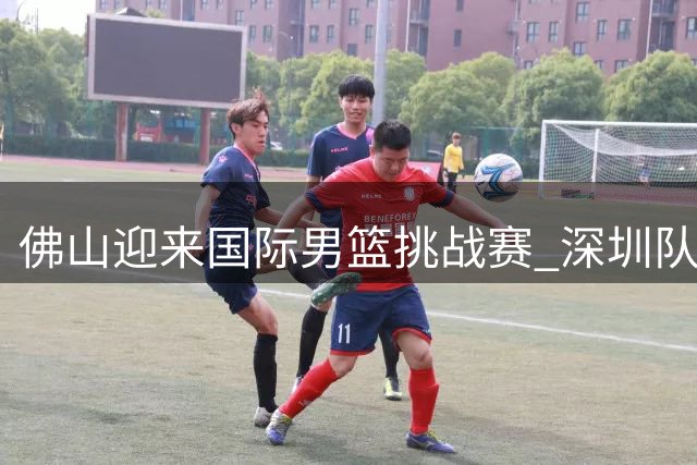 佛山迎来国际男篮挑战赛 深圳队新老结合备战CBA新赛季